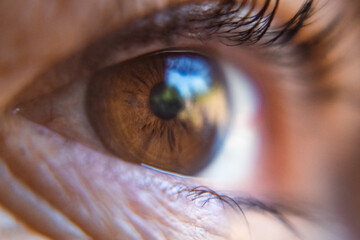 macro de ojo color café, pestañas, iris, iridología, colores cafés de ojo 