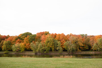 Early fall trees changing colors at potawatomi woods in Illinois