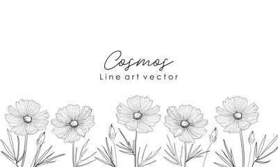 line art floral cosmos background with flowers