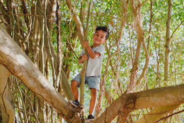 Child climbing a tree and smiling