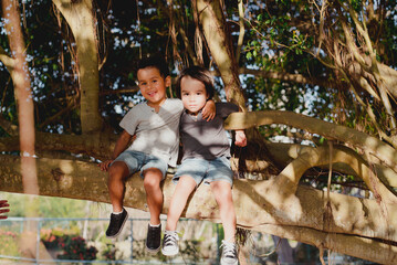 Fototapeta na wymiar Friends climbing and playing in a tree