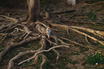 "Adventure Kid: Young Boy Walking on Exposed Tree Roots in the Woods"

