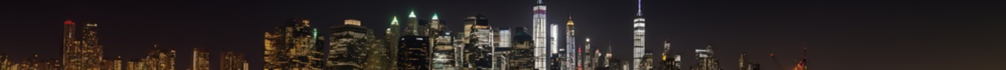 Fototapeta premium new york city skyline