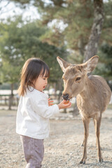 鹿にエサをあげる女の子