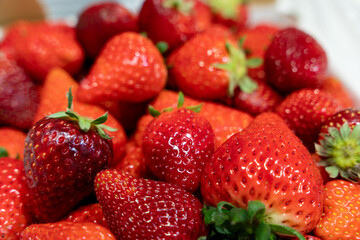 摘みたての完熟イチゴ