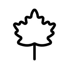 Leaf icon. Vector isolated illustration