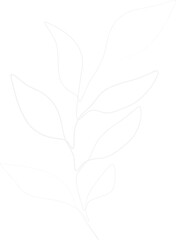 minimal leaf aesthetic 