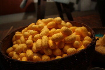 silk worm cocoon 