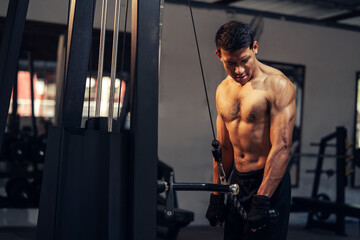 Fototapeta na wymiar Asian man athletic weight training triceps muscles workout in fitness gym. Weight training exercise in concept of health and wellness. Bodybuilder shirtless workout at gym.