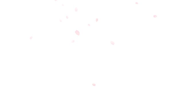 水彩の桜の花びらが静かに舞うループアニメーション（アルファチャンネル）