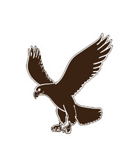 eagle on a white
