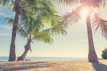 Palm trees on tropical beach with sunny sky