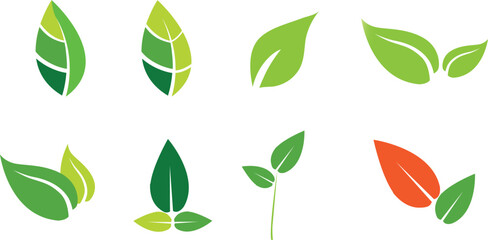 Leaves icon vector set isolated on white background. Various shapes of green leaves of trees and plants. Elements for eco and bio logos. Vector