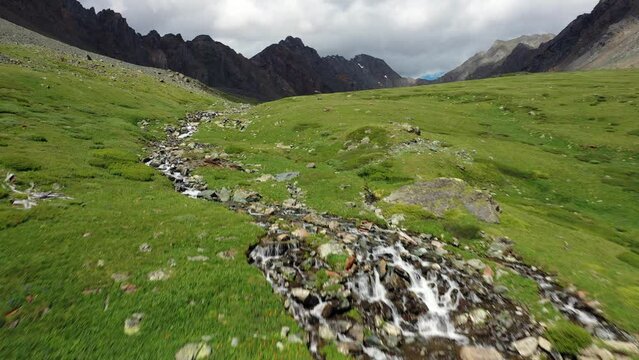 Aerial video of Altai river Yarlyamry. The stream is surrounded by alpine forb meadows.
