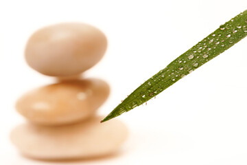 green leaf with dewdrops and stacked stones, zen picture