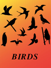 illustration Birds silhouette vector design