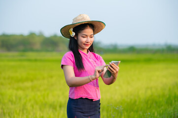 Beautiful asian woman working laptop outdoors in rice fields.