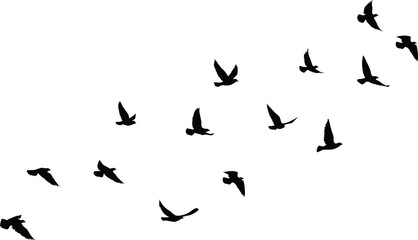 Obraz na płótnie Canvas Flying birds silhouettes pattern wallpaper. PNG transparent. isolated bird flying. tattoo design. template for card, package, and wallpaper.