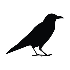 Silhouette of a black raven. Vector black white illustration