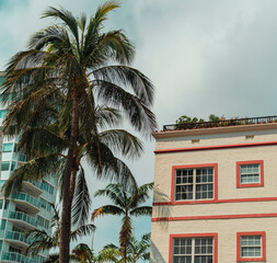 Fototapeta na wymiar palm trees in front of a building Miami Beach