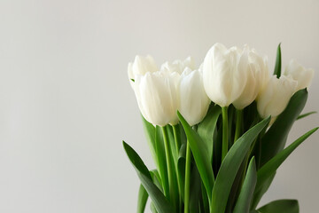 Tulip flowers bouquet on white background