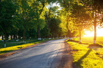 Obraz na płótnie Canvas Golden evening sunlight breaking through the trees on the road.