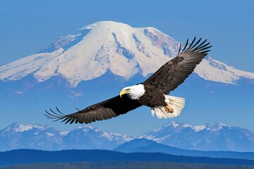 bald eagle  in flight in the mountains Generative AI