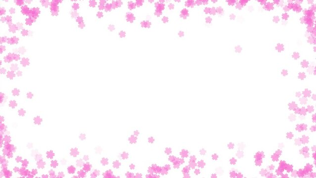 cherry blossom loop background material