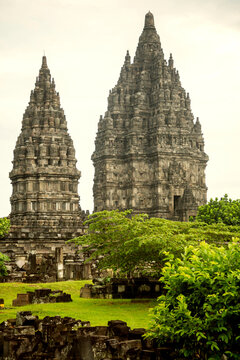 Plants growing at Prambanan temple against clear sky