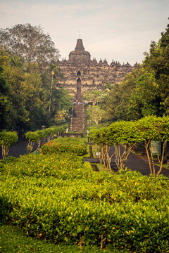 Low angle view of trees growing at Prambanan temple against sky