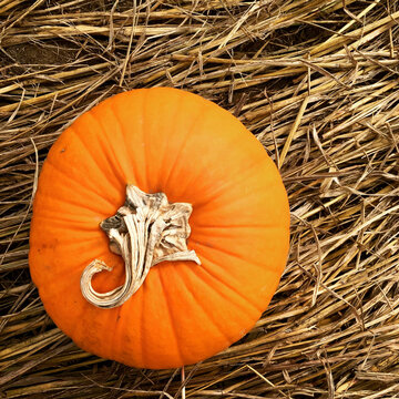 Overhead view of orange pumpkin on hay