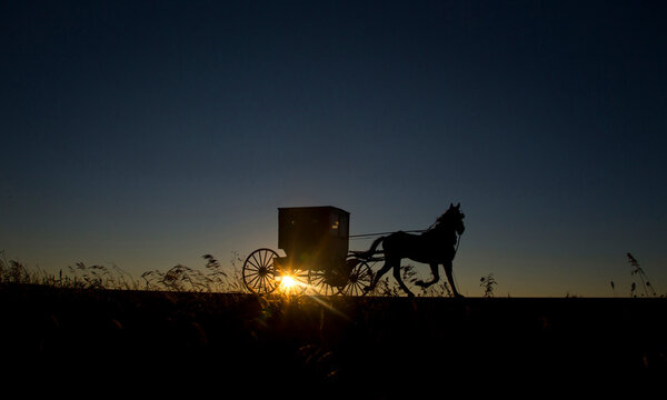 Amish buggy at sunset in Wisconsin.