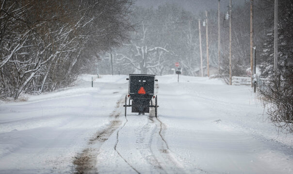 Amish buggy on snowy road.
