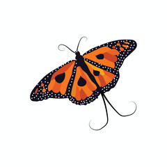  Illustration of a beautiful and Cute Flying Butterfly