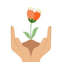 Two Hand Hold Flower Plant Life Green Tree Grass Sprout