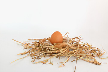 Organic chicken fresh eggs in the straw nest. On white background.