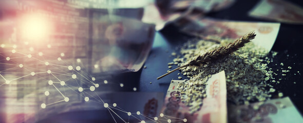 The concept of the cost of grain. 5000 ruble banknotes around a handful of ground grain. World...