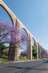 Queretaro Mexico aqueduct with jacaranda tree and purple flowers - obrazy, fototapety, plakaty