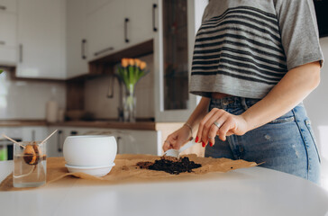 Woman's hands transplanting plant a into a new pot.