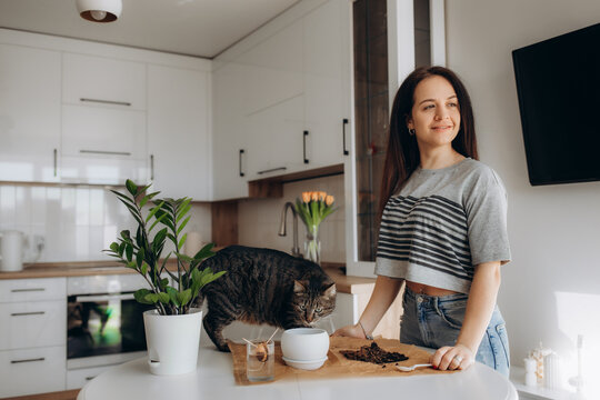 Young Woman Taking Care Of Her Plant At Home