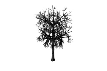 shape dead tree white background 3d rendering