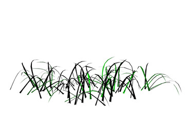 shape green grass low white background 3d rendering