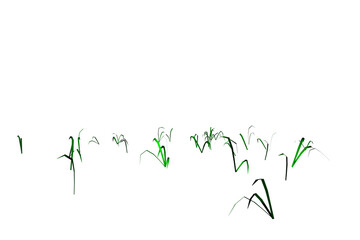 shape Grass Very Sparse white background 3d rendering