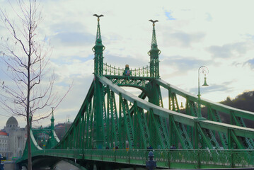 Liberty bridge across the Danube river in Budapest, cityscape