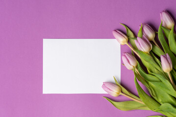 Purple tulips on matching background arrangement top view
