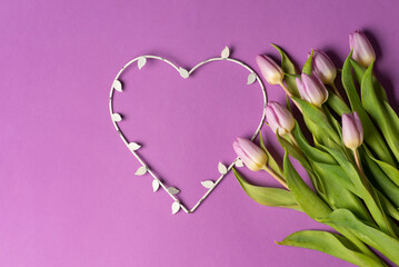 Purple tulips with a heart shape on matching background arrangement top view