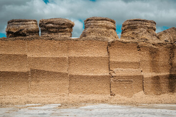 Harvesting silage on the farm, storing fodder for cows, hay bales on the sky background © mira_y