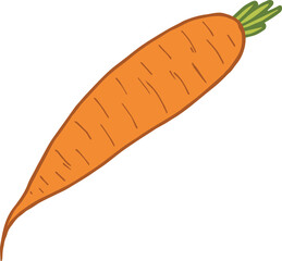 Simple carrot on white background. Vector image.