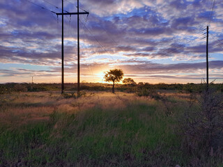 Obraz premium sunset in the field