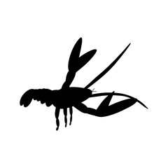 Crayfish Character sea animal on deep background. Wild life illustration. Underwear world. Vector illustration.